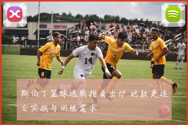 斯伯丁篮球选购指南出炉 这款更适合实战与训练需求